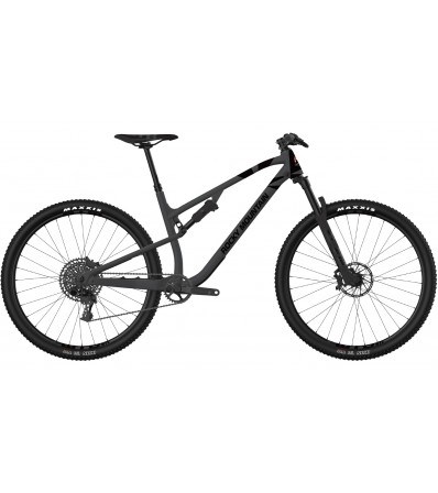 Cross Country Bike Rocky Mountain Element Alloy 10